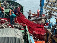 Đọc nhanh bài viết 212874