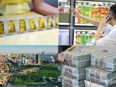 Đọc nhanh bài viết 212879