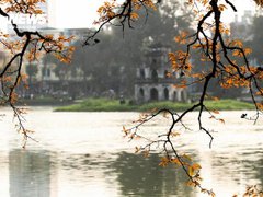 Đọc nhanh bài viết 212951