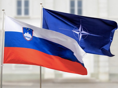 Đọc nhanh bài viết 212956