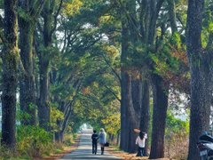 Đọc nhanh bài viết 212973