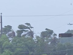 Đọc nhanh bài viết 212975