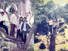 Đọc nhanh bài viết 213061