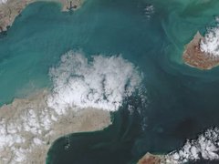 Đọc nhanh bài viết 213091