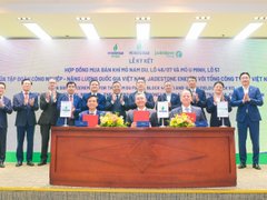 Đọc nhanh bài viết 213183