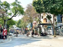 Đọc nhanh bài viết 213205