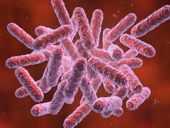 Đọc nhanh bài viết 213229