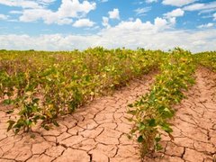 Đọc nhanh bài viết 213279