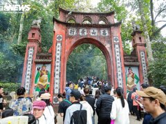 Đọc nhanh bài viết 213332