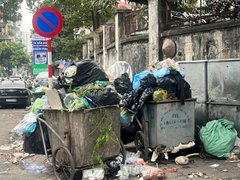 Đọc nhanh bài viết 213349