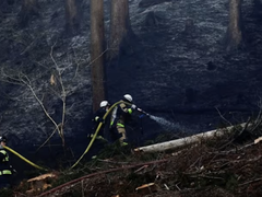 Đọc nhanh bài viết 213367