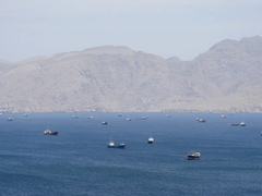 Đọc nhanh bài viết 213439