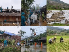 Đọc nhanh bài viết 213485