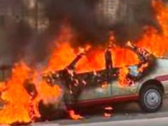 Đọc nhanh bài viết 213495