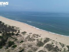 Đọc nhanh bài viết 213503