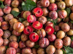 Đọc nhanh bài viết 213589