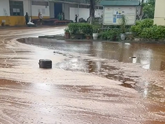 Đọc nhanh bài viết 213619