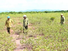Đọc nhanh bài viết 213701