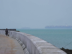 Đọc nhanh bài viết 213705