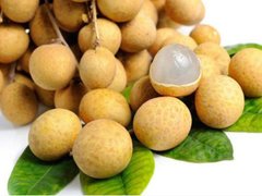 Đọc nhanh bài viết 213789