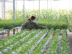 Đọc nhanh bài viết 213936
