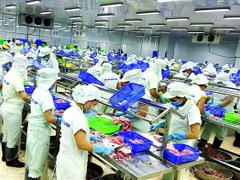 Đọc nhanh bài viết 213995