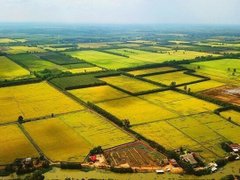Đọc nhanh bài viết 214022