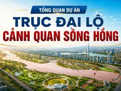 Đọc nhanh bài viết 214243