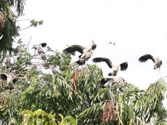 Đọc nhanh bài viết 214258
