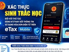 Đọc nhanh bài viết 214286