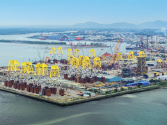 Đọc nhanh bài viết 214323