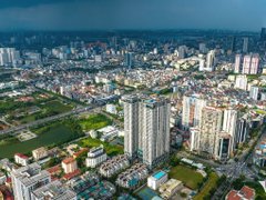 Đọc nhanh bài viết 214331