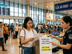Đọc nhanh bài viết 214338