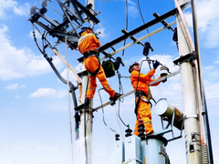 Đọc nhanh bài viết 214565