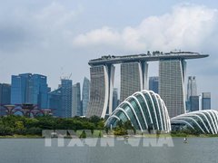 Đọc nhanh bài viết 214591