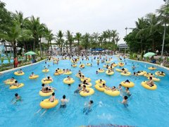 Đọc nhanh bài viết 214593
