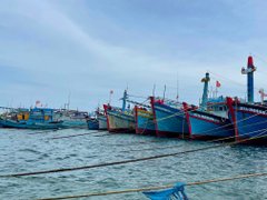 Đọc nhanh bài viết 214810