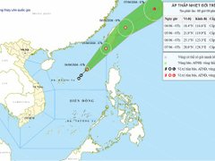 Đọc nhanh bài viết 214815