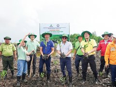 Đọc nhanh bài viết 214916