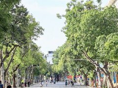 Đọc nhanh bài viết 214954