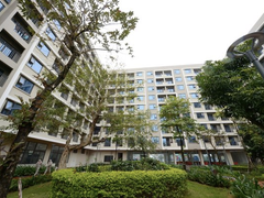 Đọc nhanh bài viết 215095