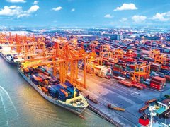 Đọc nhanh bài viết 215313