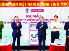 Đọc nhanh bài viết 215377
