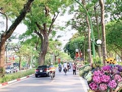 Đọc nhanh bài viết 215391