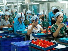 Đọc nhanh bài viết 215424