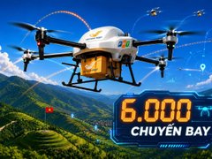 Đọc nhanh bài viết 215792