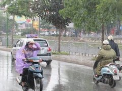 Đọc nhanh bài viết 215925