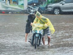 Đọc nhanh bài viết 215935