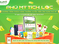 Đọc nhanh bài viết 216063