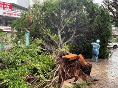 Đọc nhanh bài viết 216105